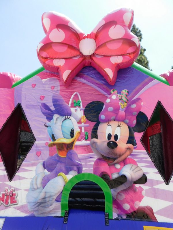 closeup view of the Minnie Mouse Jumper Entrance